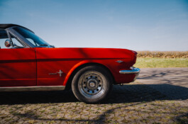 Michael Pogoda Photography