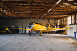 Michael Pogoda Photography