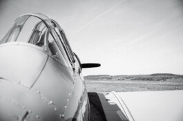 Michael Pogoda Photography