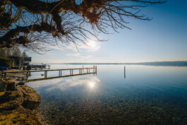 Michael Pogoda Photography