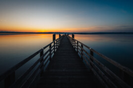 Michael Pogoda Photography