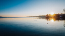 Michael Pogoda Photography