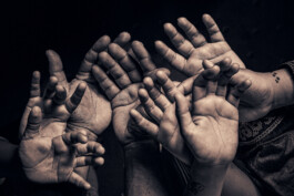 Michael Pogoda Photography