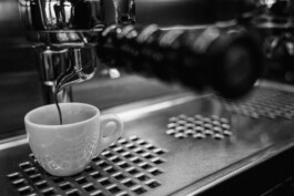 Michael Pogoda Photography