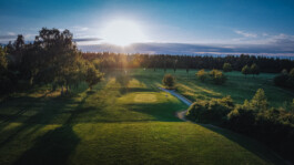 Michael Pogoda Photography