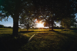 Michael Pogoda Photography